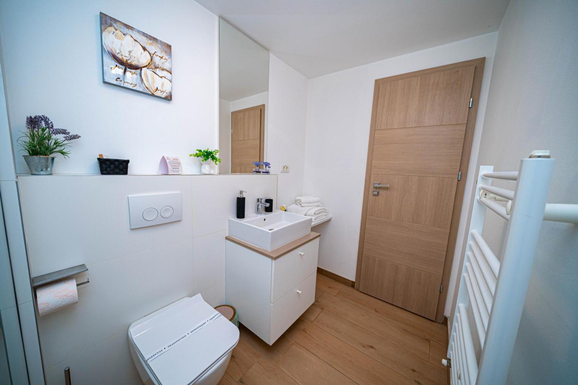 Friends Residence Apartments Timisoara Bagian luar foto